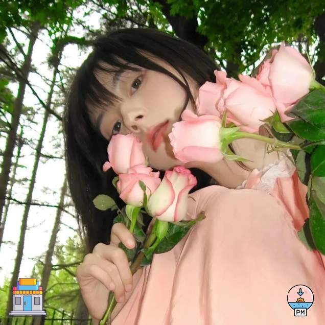 吴晨会员